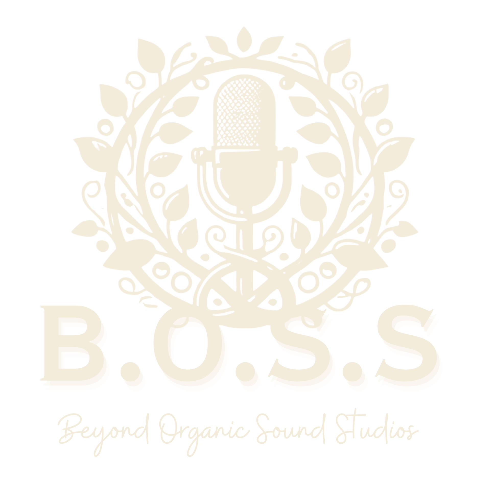 Beyond Organic Sound Studios