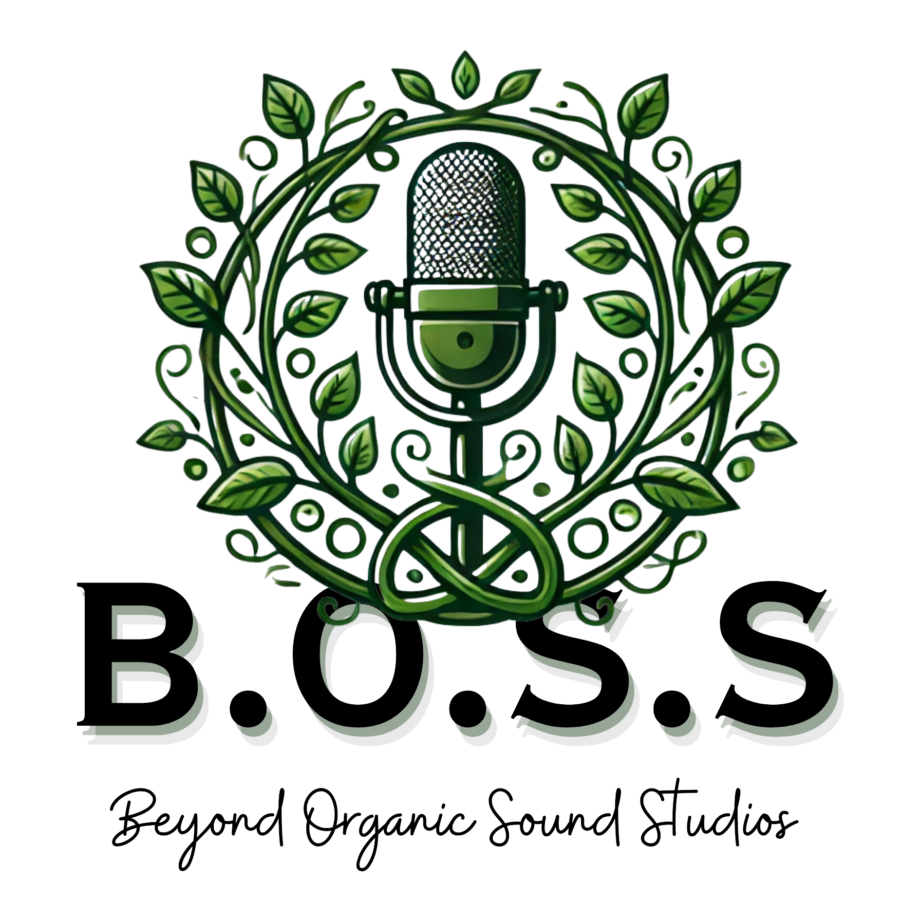 Beyond Organic Sound Studios